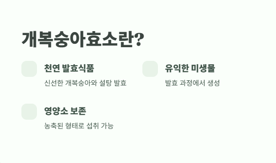 개복숭아효소의 효능 한눈에 보기 2