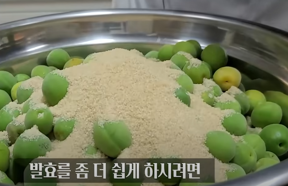 매실청 담그는법 담그는 시기 및 숙성기간
