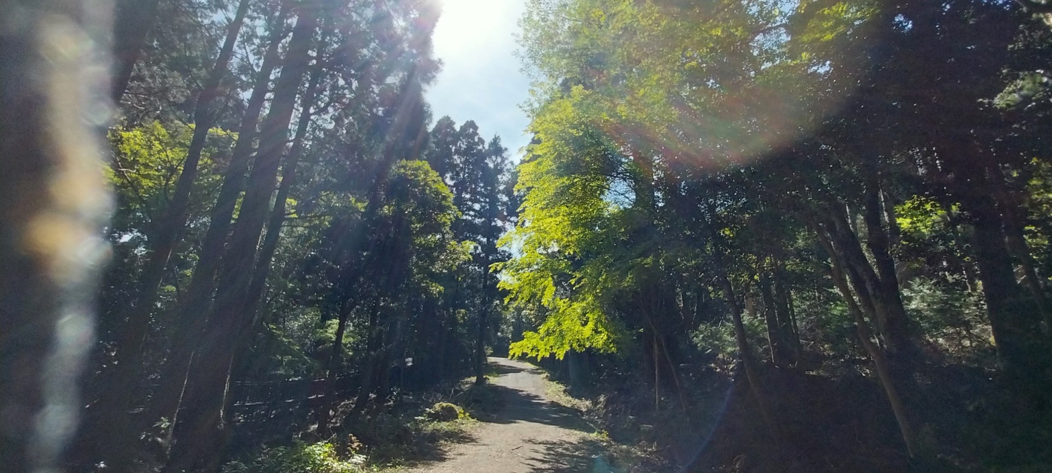 제주 치유의 숲
