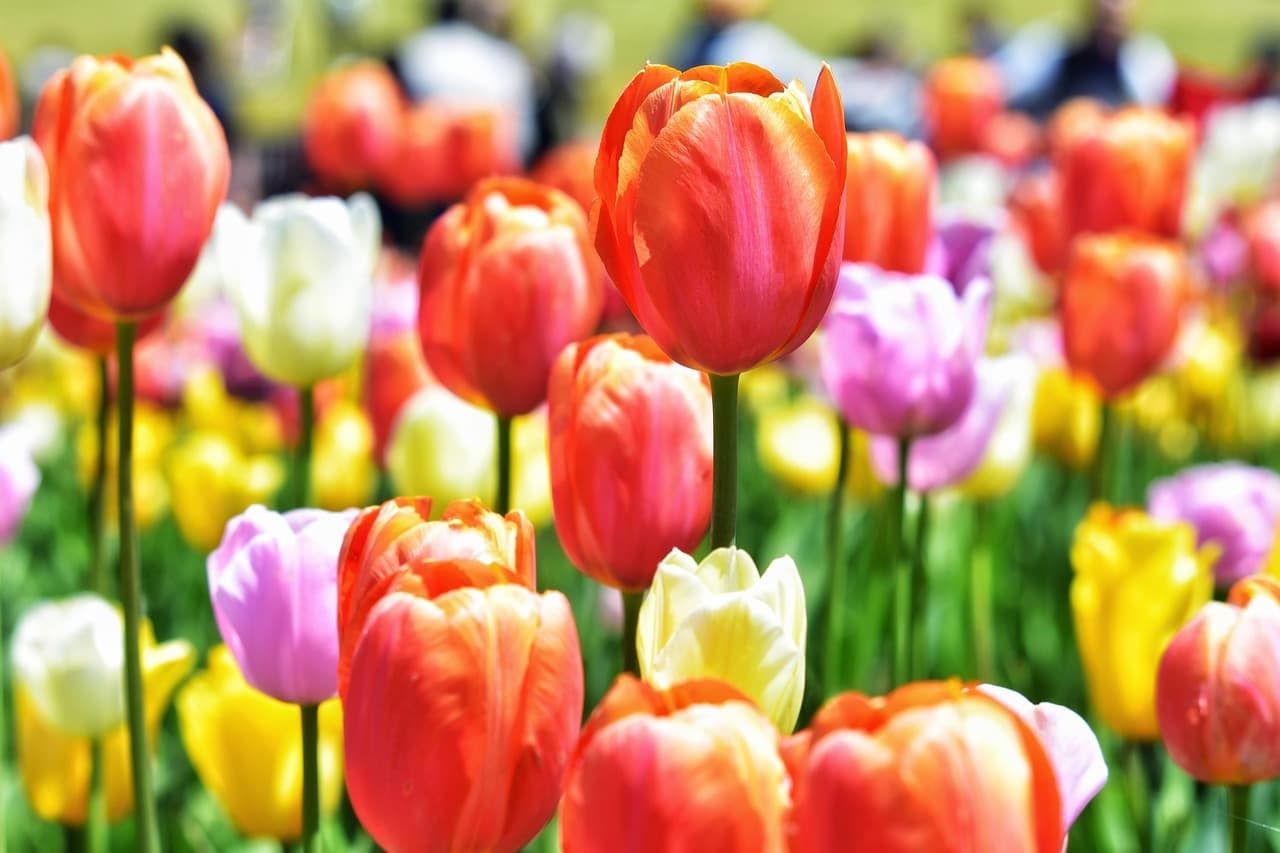 퍼스널컬러 진단! 나에게 맞는 컬러는?