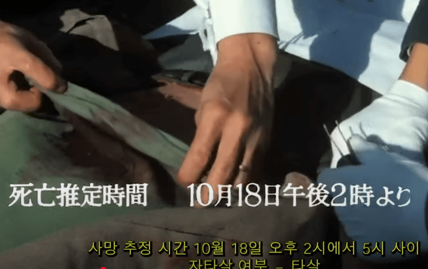 잔혹한 아름다움 속