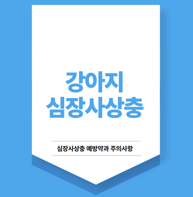 강아지 심장사상충