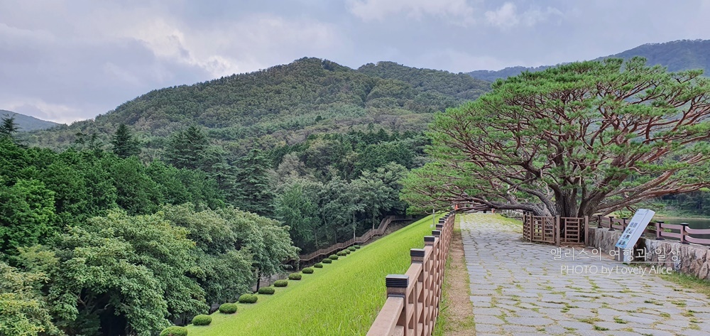 부산 근교 가볼만한곳 당일치기 나들이 BEST10 (기장 포함)