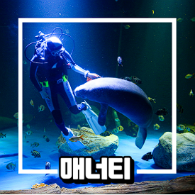 대구 아쿠아리움 입장료 할인