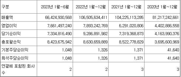 신성에스티 재무정보
