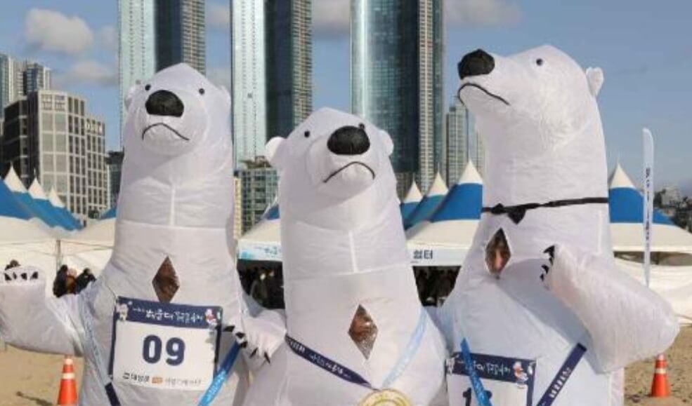 2024 해운대북극곰축제