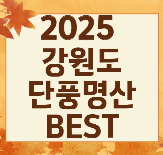 강원도 2025 단풍 산행 추천 코스 ❘ 설악산&middot;오대산&middot;치악산 절정 시기 안내
