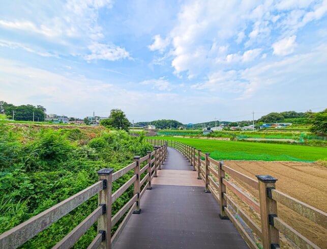 생생정보 생생현장 여주여행코스 여주 도자기 축제 여주도자문화센터 강천섬유원지 여주남한강출렁다리 스카이헤븐 카페 