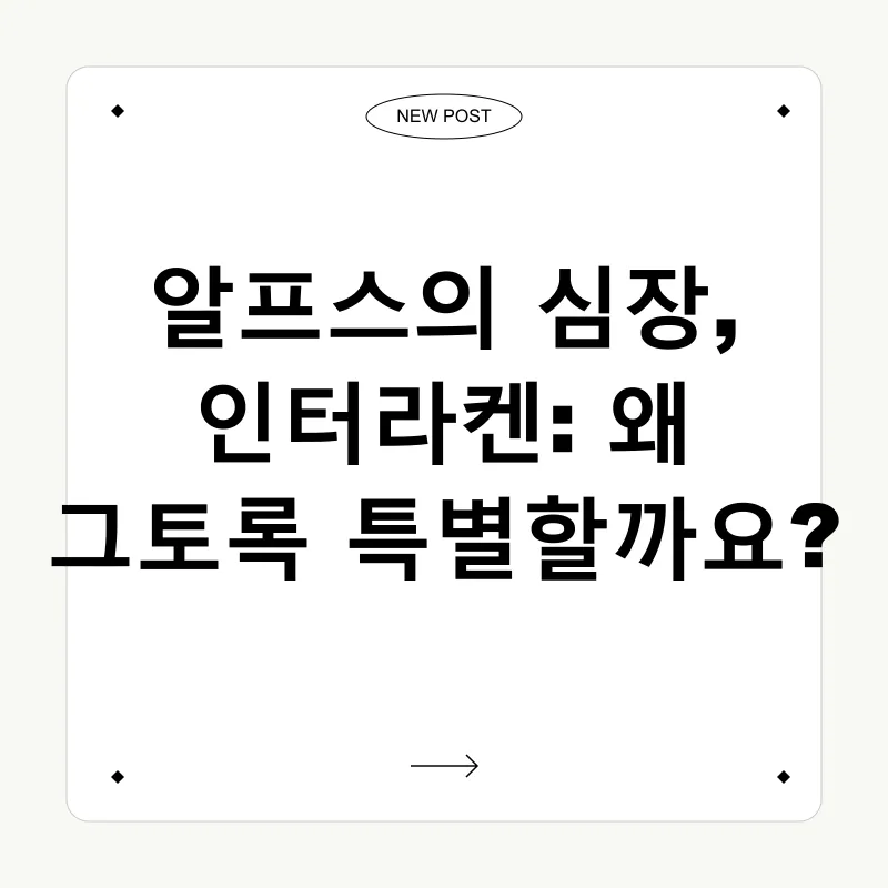 스위스 여행_1
