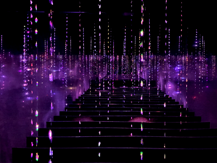 일본 도쿄 팀랩 플래닛 여행-생명은 결정화된 덧없는 빛