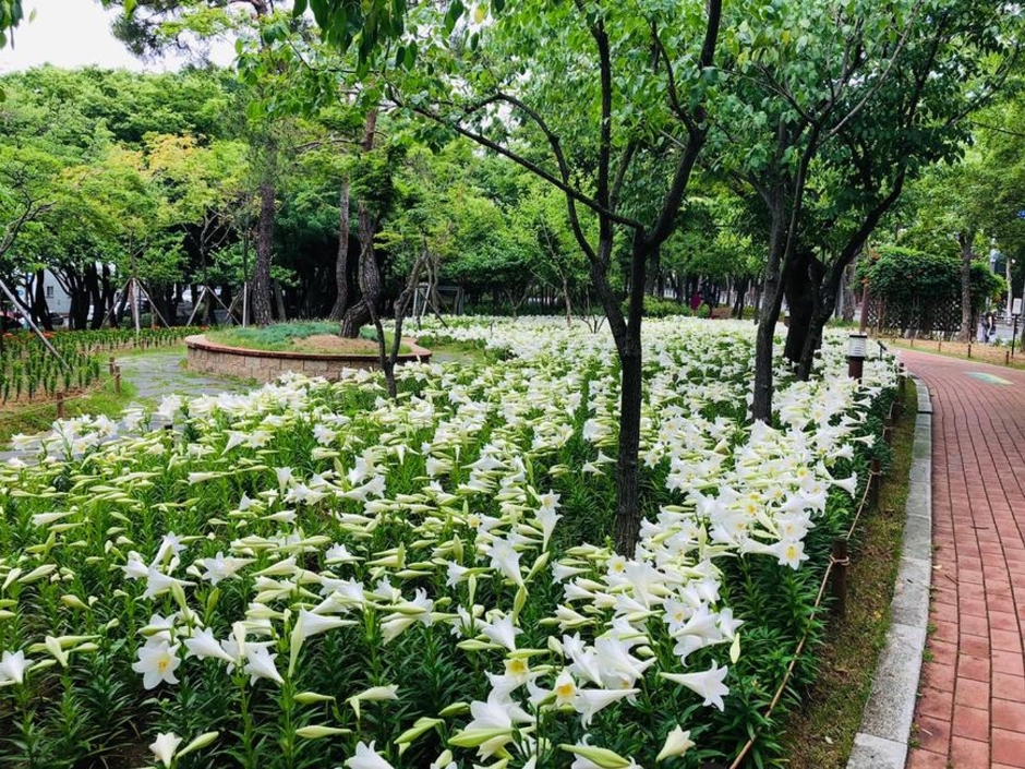 대구 서구 그린웨이