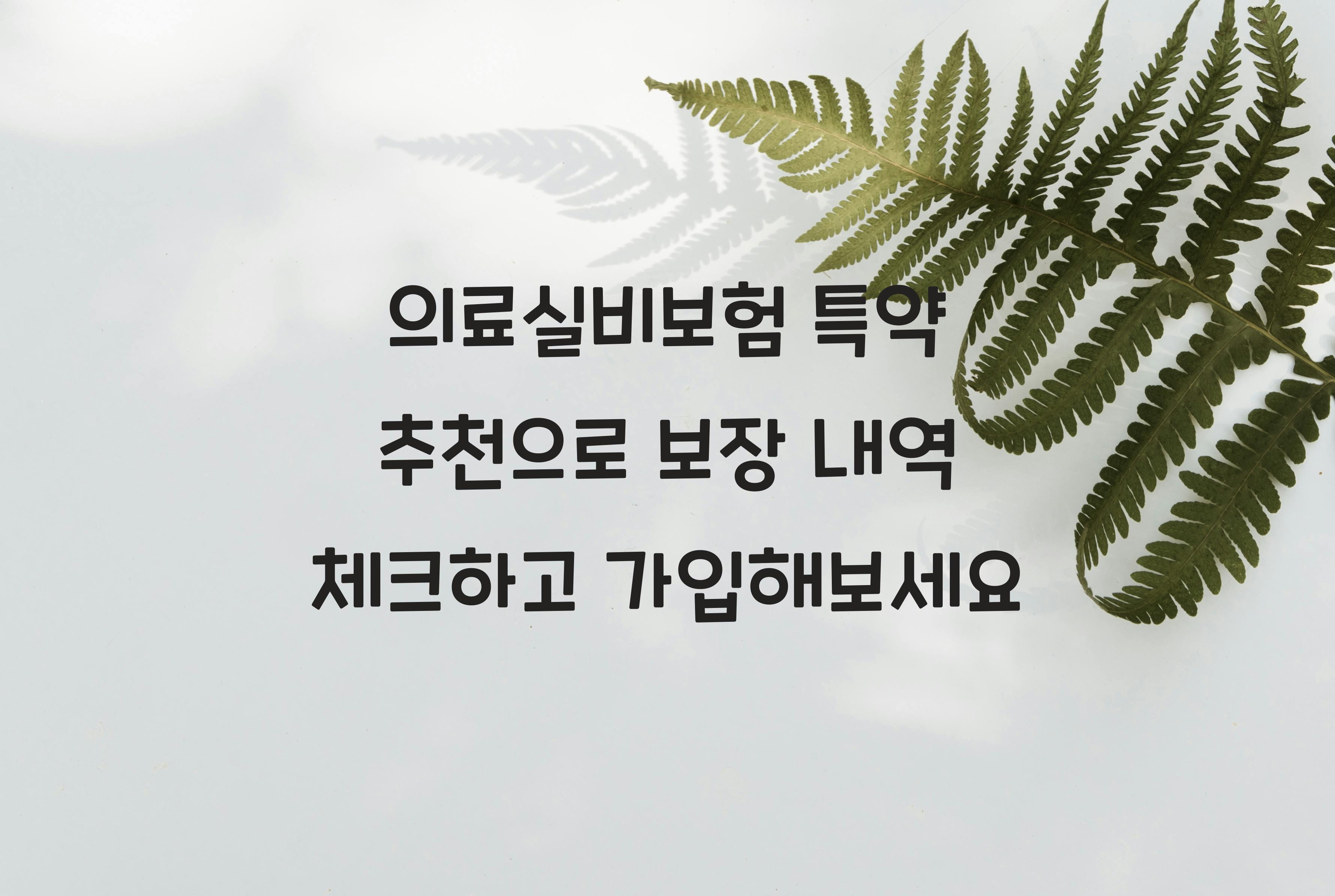 의료실비보험 특약 추천