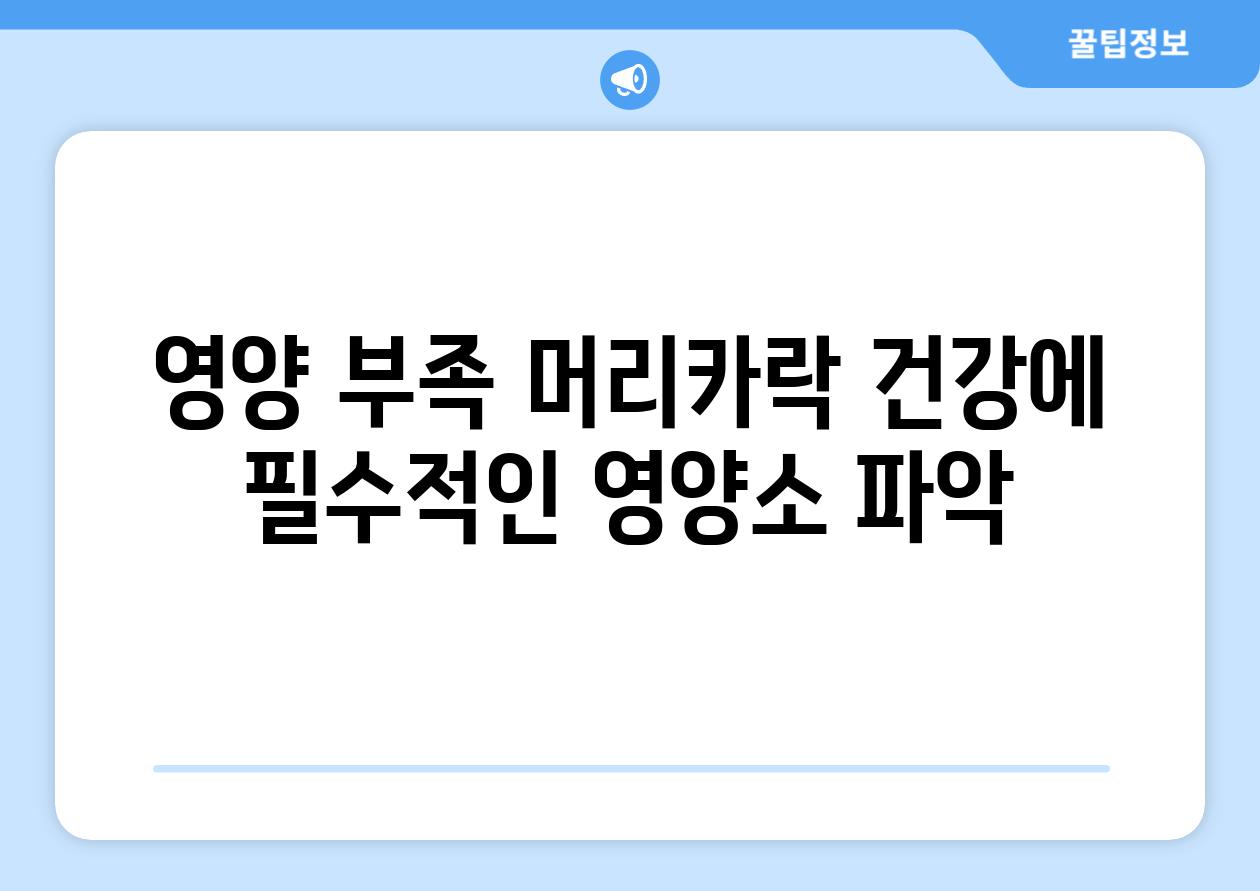 영양 부족 머리카락 건강에 필수적인 영양소 파악