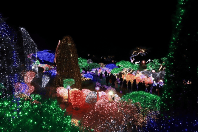 겨울 여행지 추천