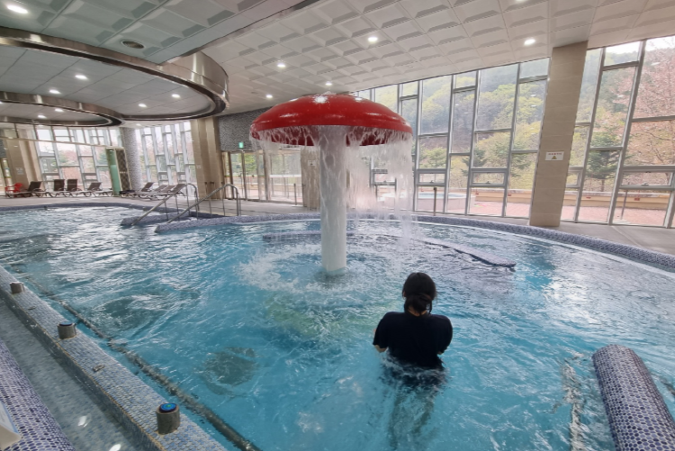 국립산림치유원