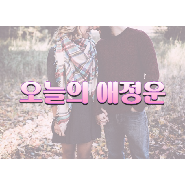 오늘의 애정운 무료 보기