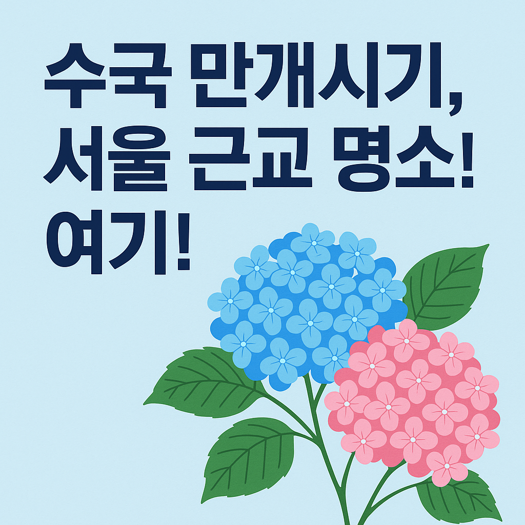 수국 개화시기