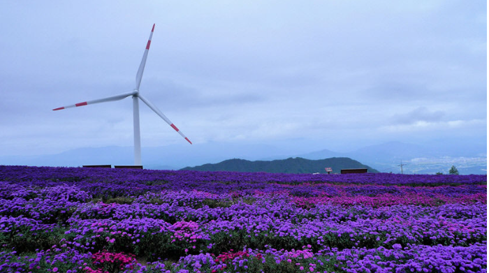 별바람언덕