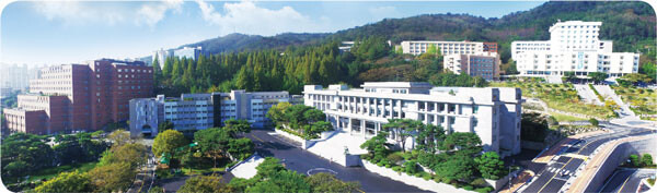 경상남도 대학 총정리 (입학처&middot;대표전화 + 바로가기) 한눈에.