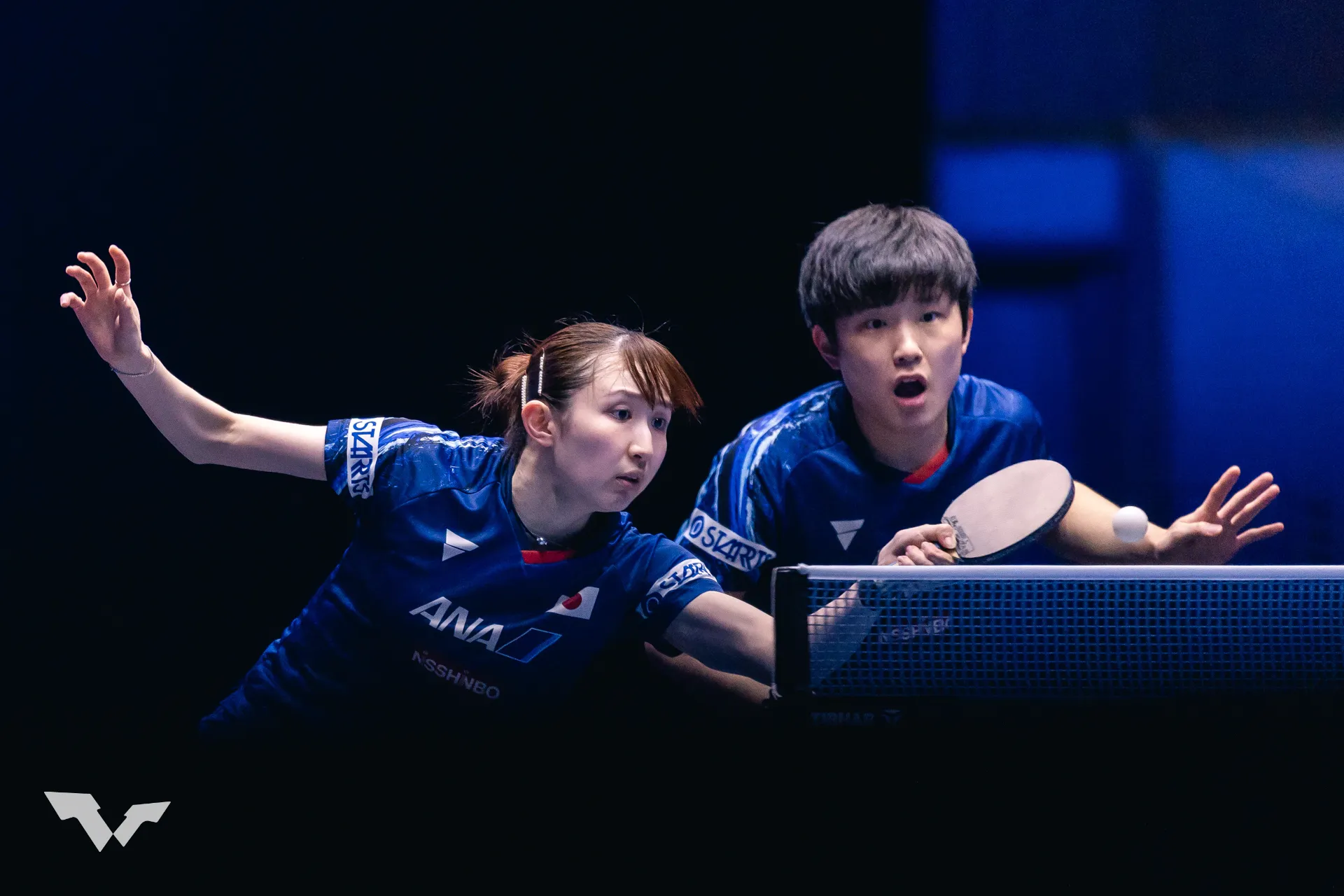 히나 하야타-하리모토 토모카즈