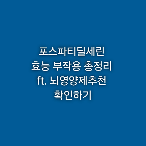 포스파티딜세린 효능 부작용 총정리 ft. 뇌영양제추천 확인하기