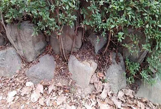 산호공원