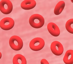 혈액순환 장애 증상 대처법