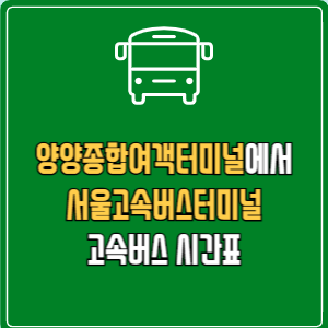 양양종합여객터미널에서 서울고속버스터미널 고속버스 시간표 요금 예매