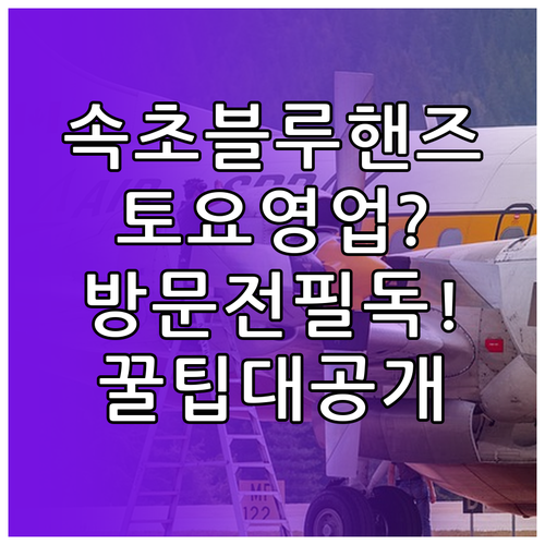 속초 인근 현대자동차 블루핸즈 토요일..