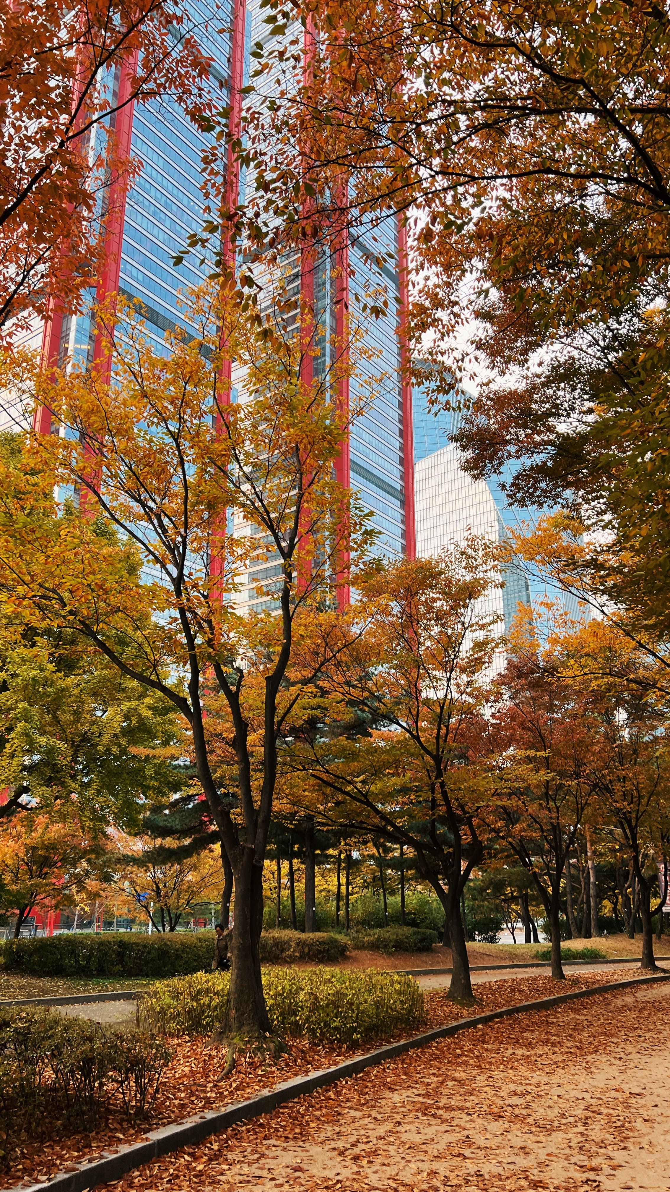 여의도 한강공원