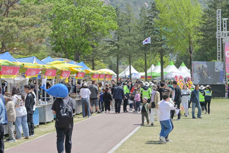  제51회 윤봉길 평화축제 특징