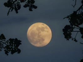 보름 몇일 계산, 정월대보름 소개