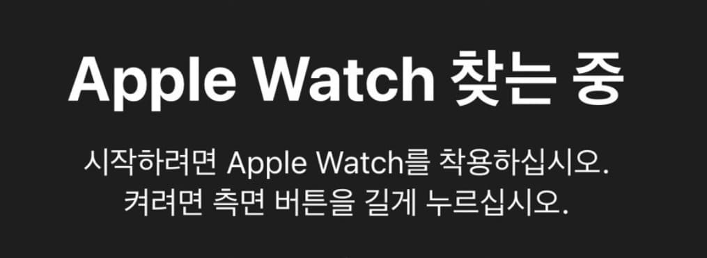 애플워치 찾는 중