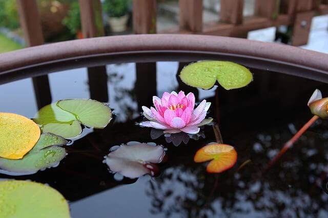 경주 가볼 만한 곳