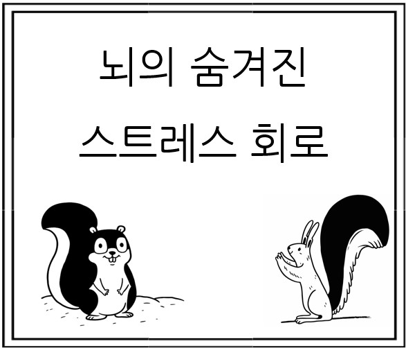 뇌의 숨겨진 스트레스 회로: 디지털 시대의 인지 피로와 회복력