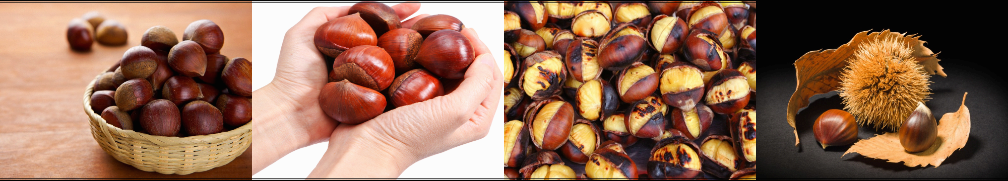 밤의 영양 성분