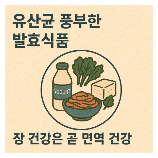 아토피_식단_유산균 풍부한 발효식품