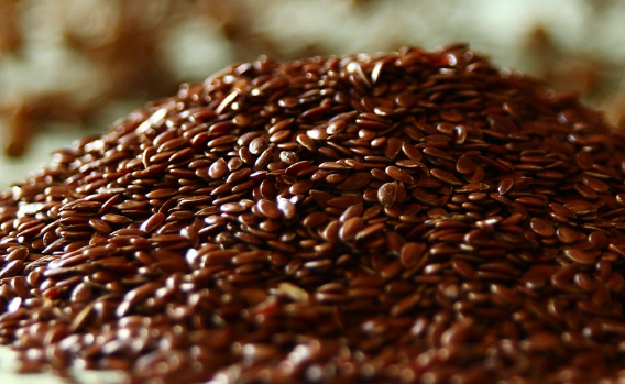 아마씨 효능 : 심혈관 건강