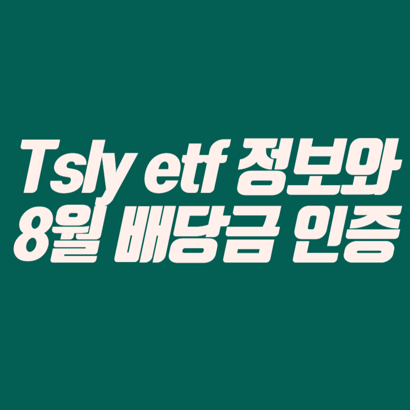 Tsly etf 정보와 8월 배당금 인증(150만원 이상)