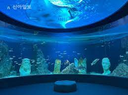 대전 가볼 만한 곳