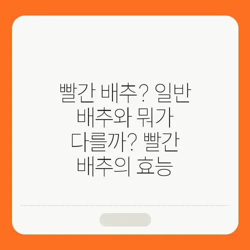 빨간 배추? 일반 배추와 뭐가 다를까? 빨간 배추의 효능