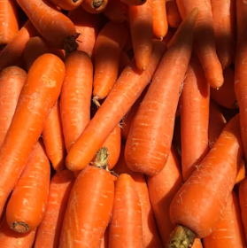 당근 효능 부작용 고르는법 칼로리