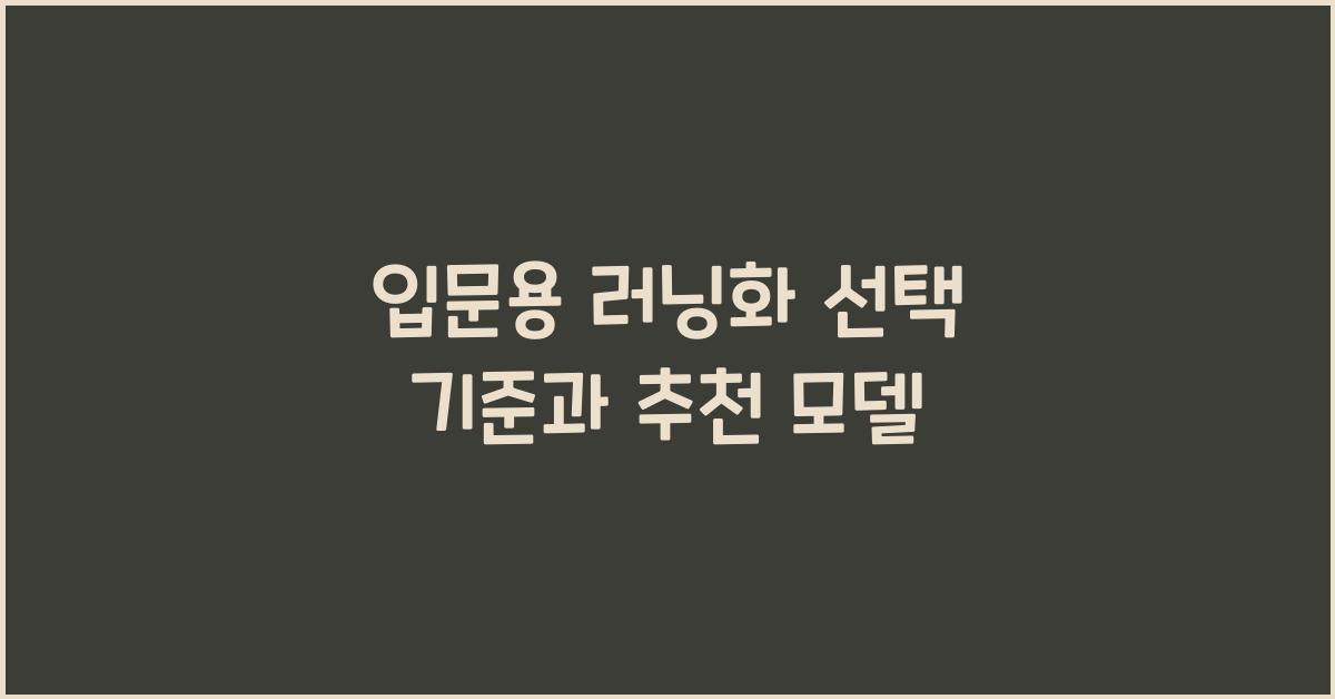 입문용 러닝화