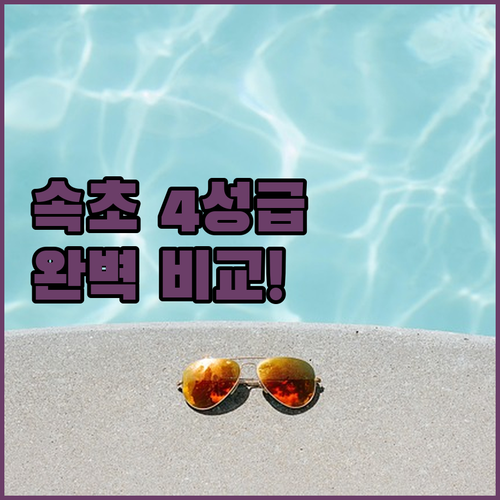 직접 비교해 본 속초 4성급 숙소 추..