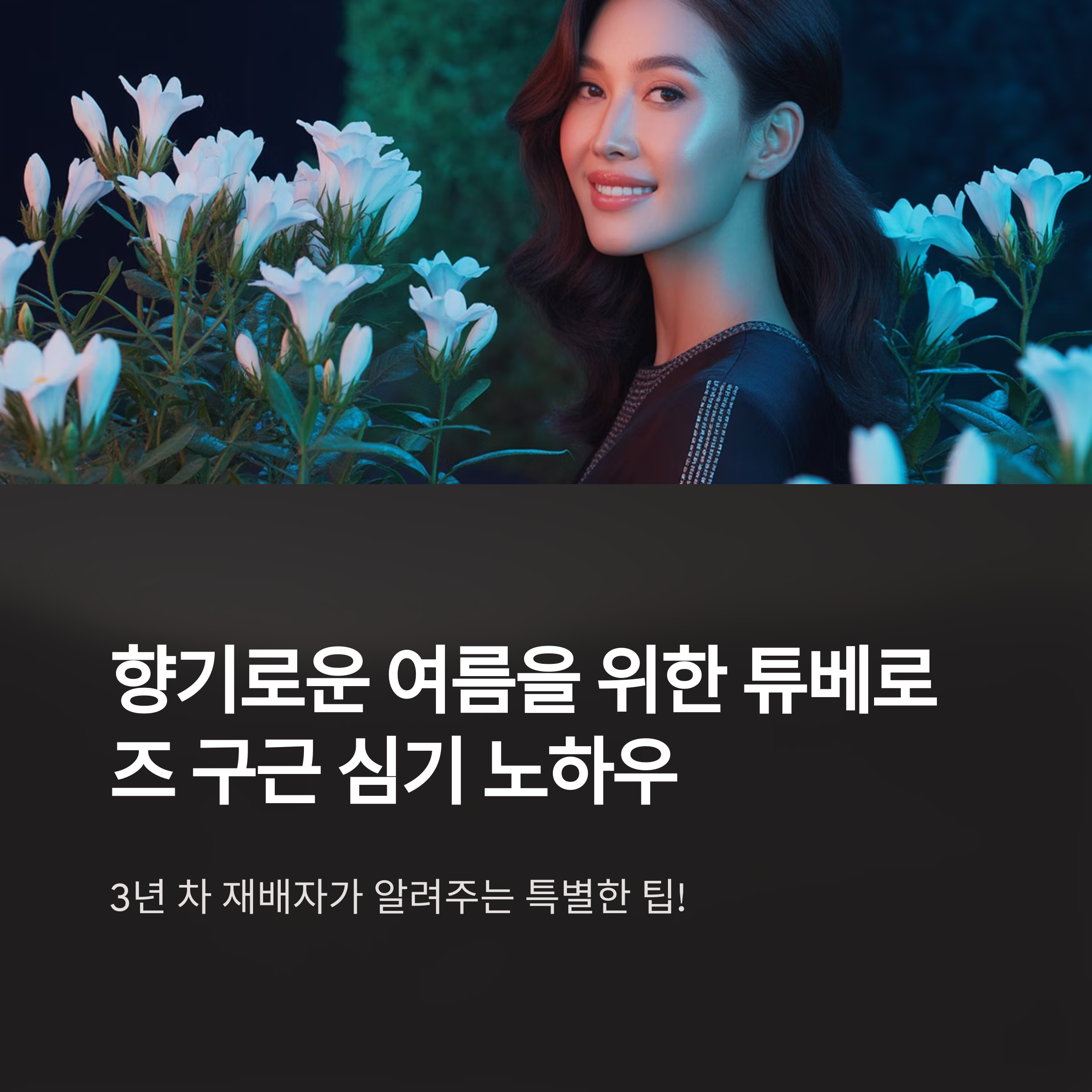 튜베로즈 구근 심기 3년 차, 향기 가득한 여름을 위한 정원 가꾸기