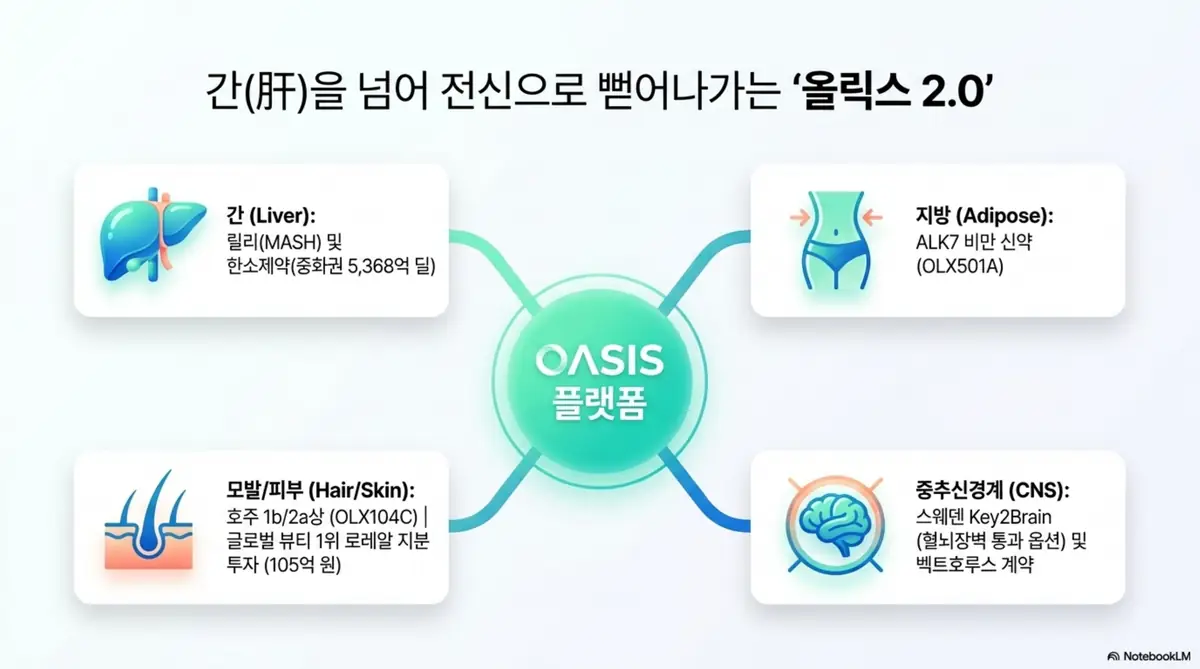 올릭스 주가 전망: 중앙의 OASIS 플랫폼에서 간&middot;지방&middot;모발피부&middot;중추신경계 네 방향으로 뻗어나가는 인포그래픽. 올릭스가 릴리 MASH와 한소제약 중화권 딜&amp;#44; ALK7 비만 신약&amp;#44; 로레알 지분 투자&amp;#44; 스웨덴 Key2Brain CNS 계약으로 적용 범위를 넓히는 올릭스 2.0 전략을 시각적으로 전달하며&amp;#44; 블로그의 올릭스 주가 전망 주제와 관련된 내용을 설명한다. 