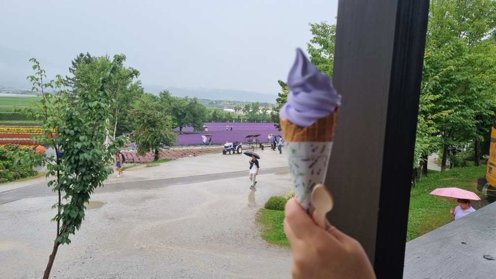 라벤더아이스크림