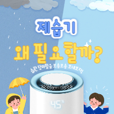 제습기 사용해야 하는 이유
