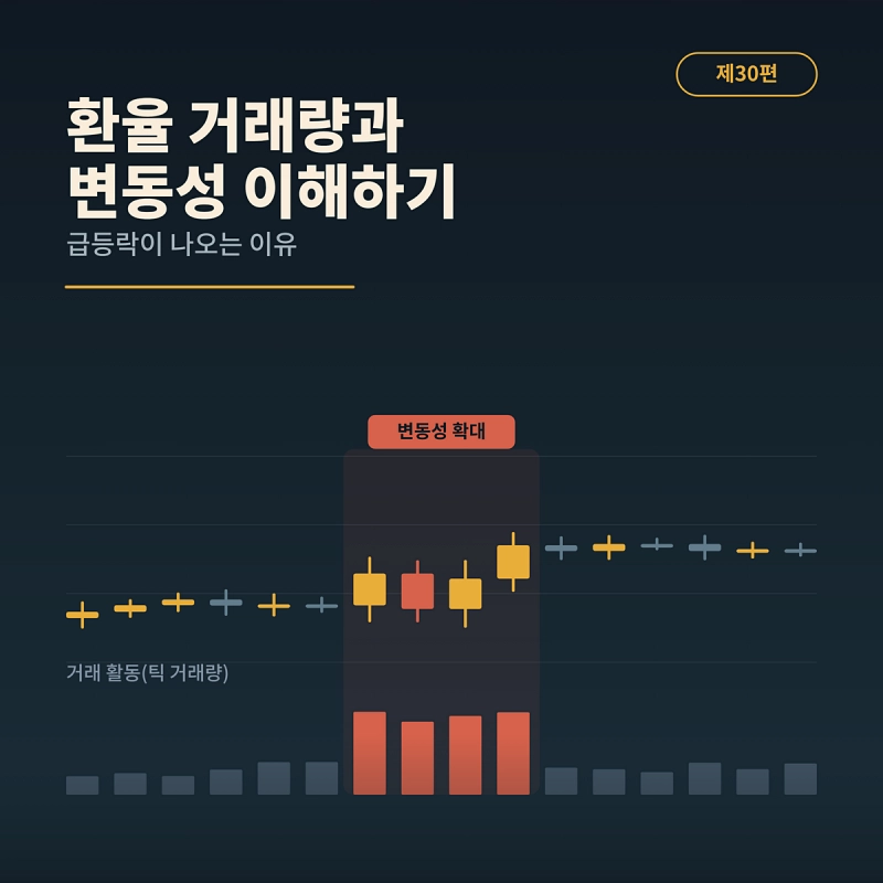 환율 거래량과 변동성 이해하기