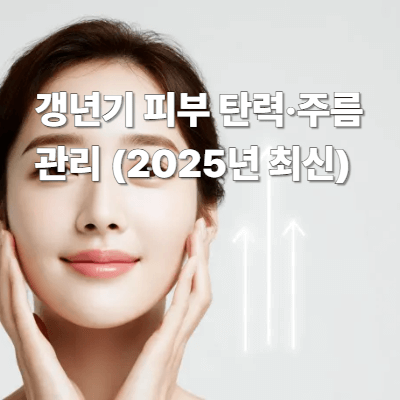 갱년기 피부 탄력&middot;주름 관리 (2025년 최신)